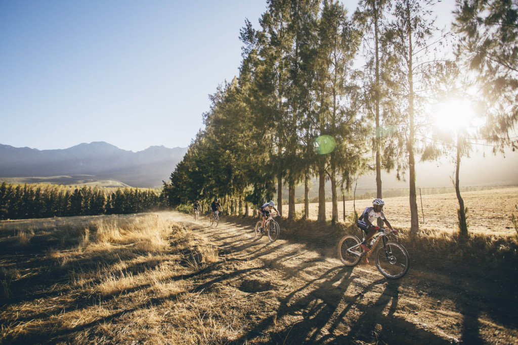 Team Investec Songo Specialized's Christoph Sauser and Sipho Madolo during stage 1 of the 2016 Absa Cape Epic Mountain Bike stage race held from Saronsberg Wine Estate in Tulbagh, South Africa on the 14th March 2016Photo by Ewald Sadie/Cape Epic/SPORTZPICSPLEASE ENSURE THE APPROPRIATE CREDIT IS GIVEN TO THE PHOTOGRAPHER AND SPORTZPICS ALONG WITH THE ABSA CAPE EPIC{ace2016}