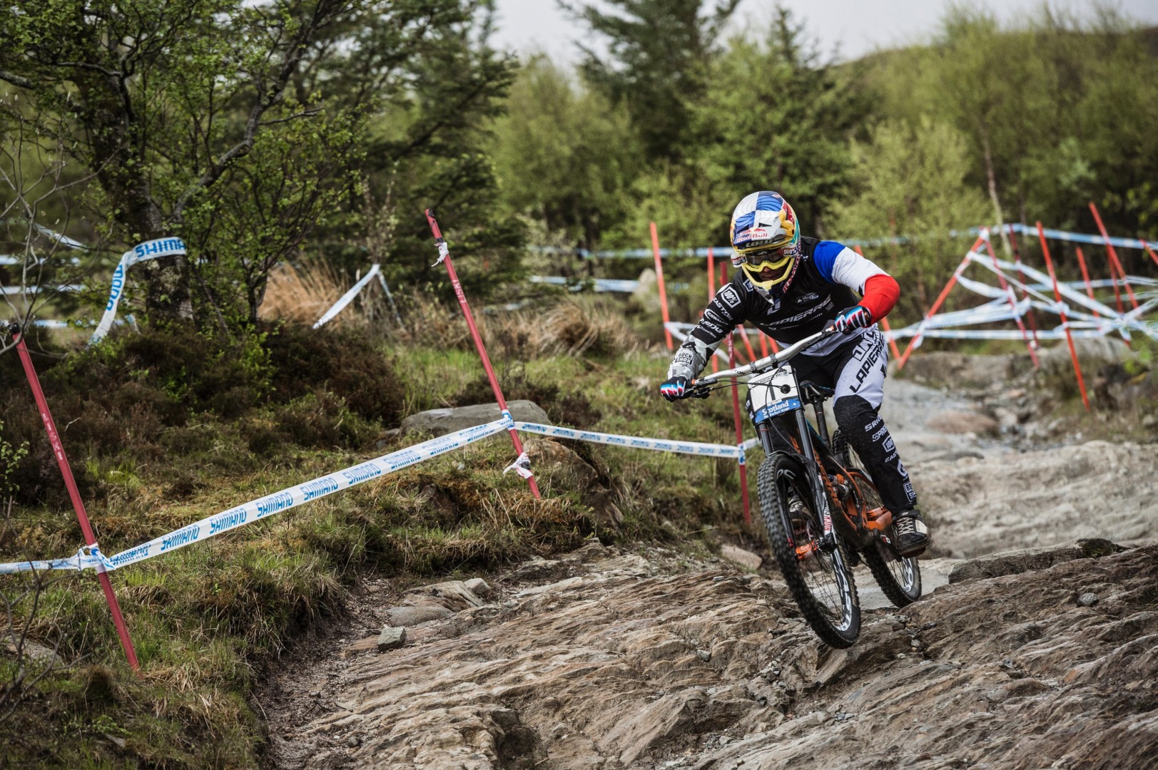 Loic Bruni UCI Fort William 2015 Red Bull Content Pool