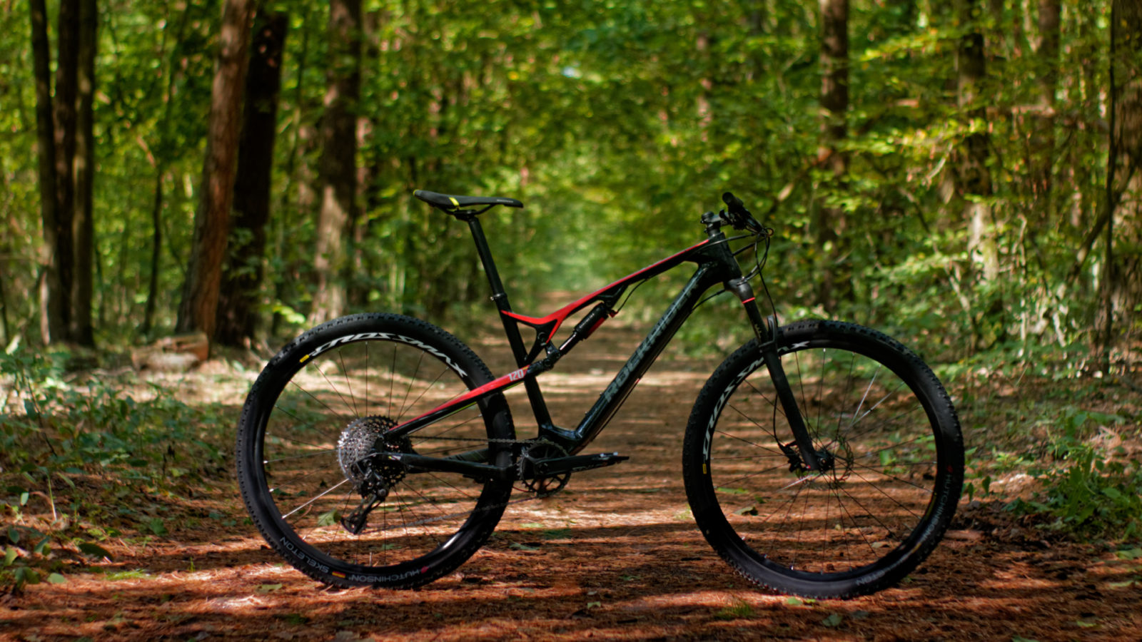 rockrider xc900 29er