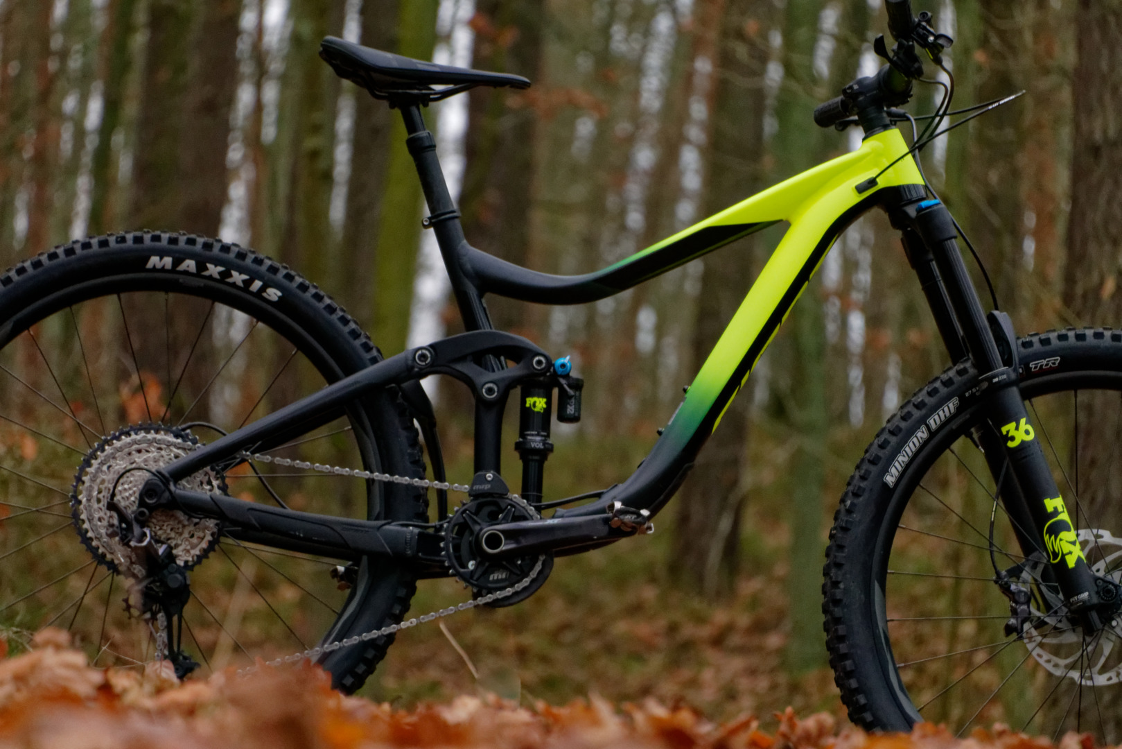 giant reign 29er 2020