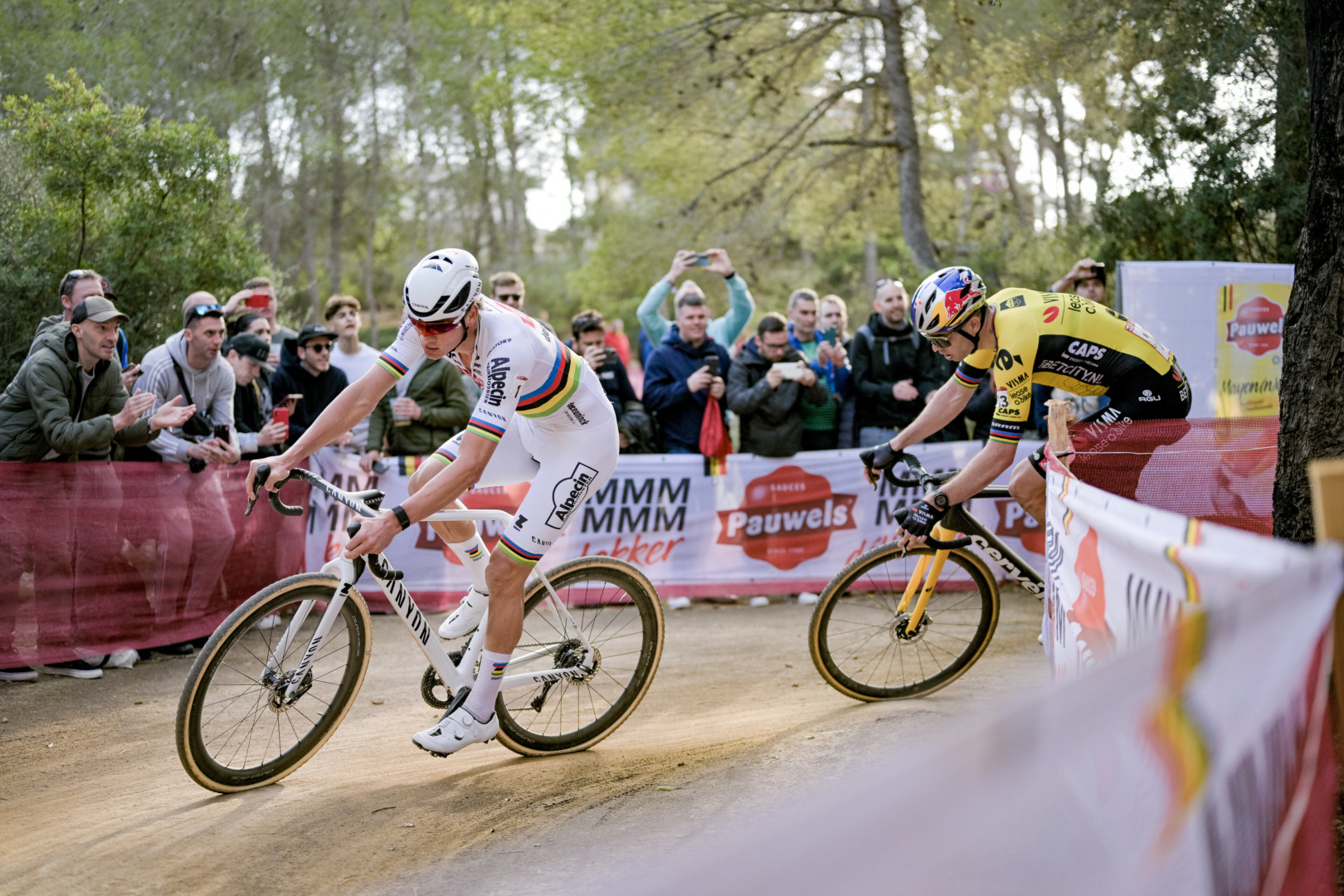 Tego nie możesz przegapić! Mathieu van der Poel i Wout van Aert wchodzą do gry. Ale najpierw Puchar Świata w Hulst! | ZAPOWIEDŹ