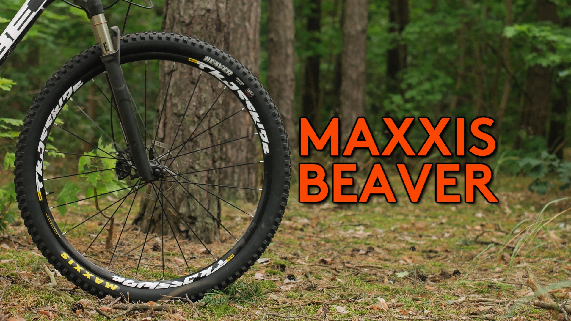 Maxxis Beaver 29″