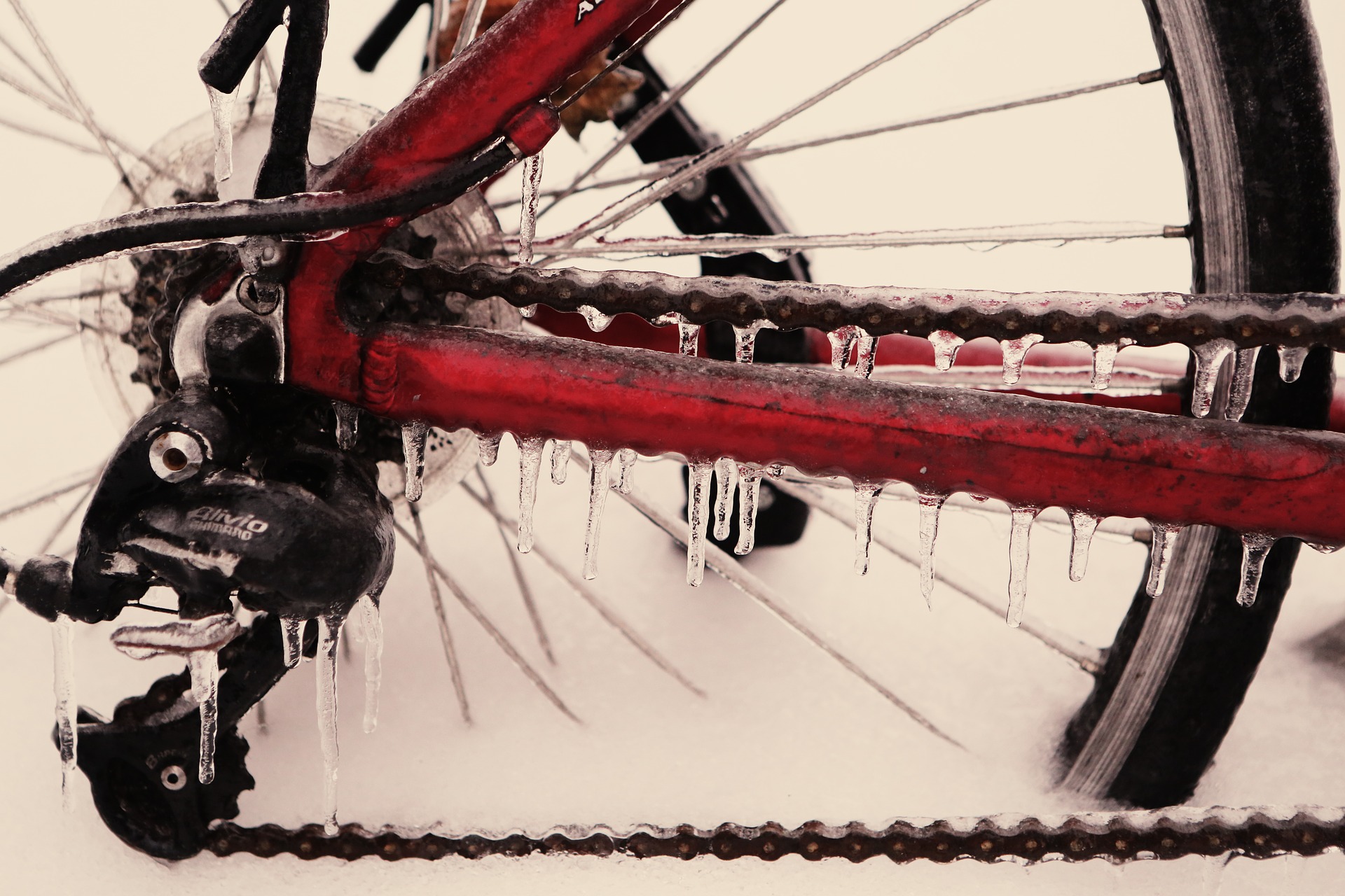 Kiedy zima jest długa, a rower tylko jeden