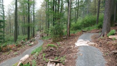 Singletrack Glacensis otwiera część ścieżek – można jeździć! Singletrack Glacensis otwiera część ścieżek – można jeździć!